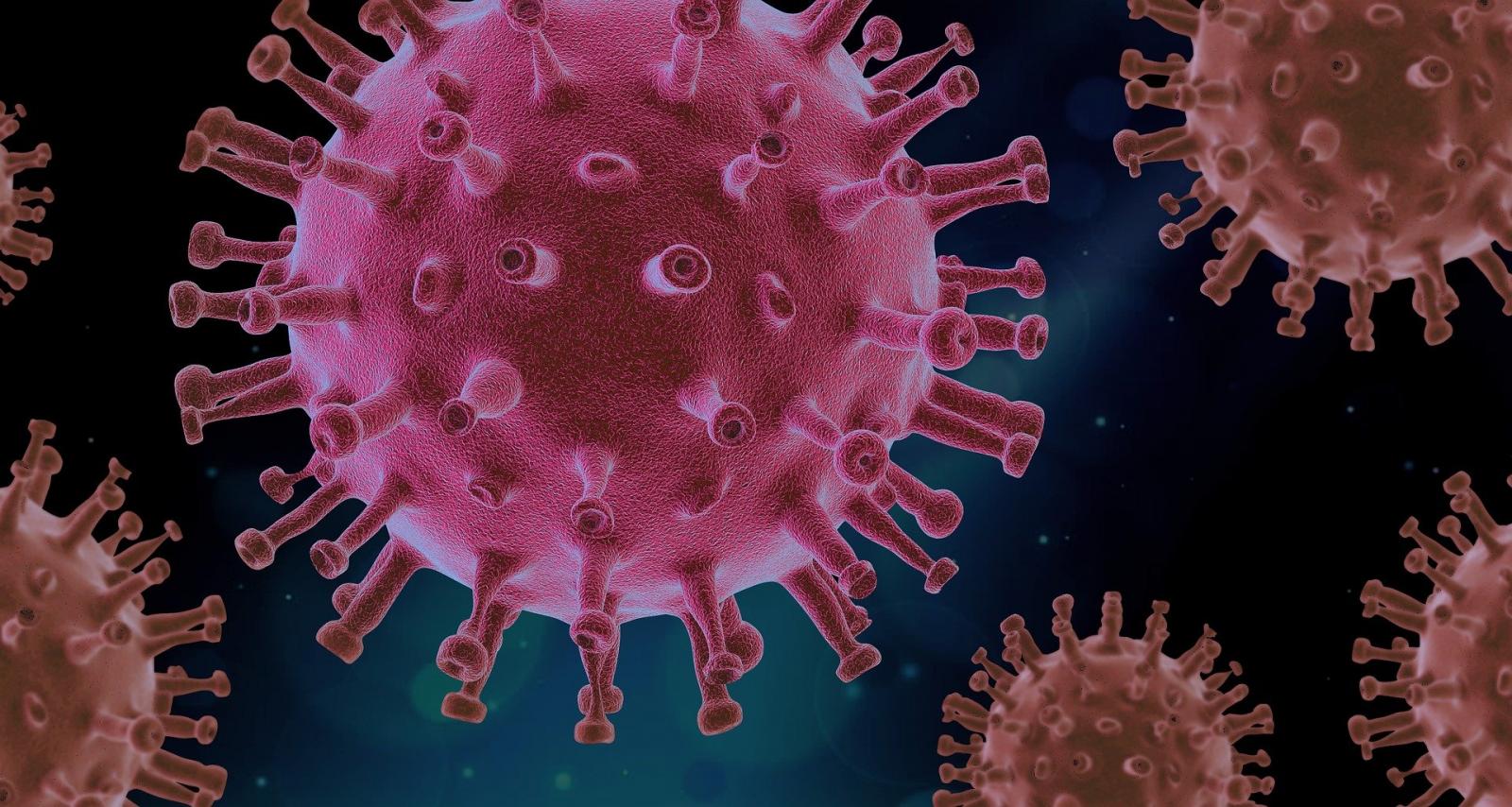 Pandemia Segundo o Espiritismo - Site Espiritismo na Prática - Grupo de Estudos Espírita Paulo de Tarso